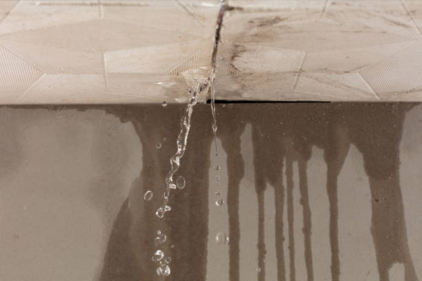 Professional Burst Pipe Cleanup technician working in Layton, UT